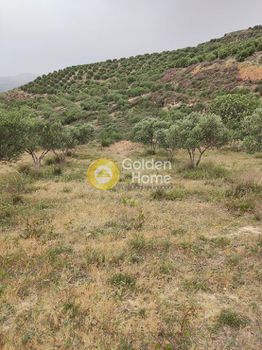 Αγροτεμάχια 2.100 τ.μ. προς πώληση