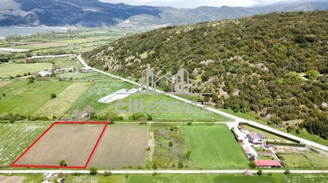Αγροτεμάχια 5.651τ.μ. για πώληση-Παμβωτίδα