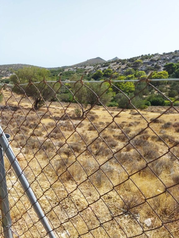 Αγροτεμάχια 9.455 τ.μ. προς πώληση, Παλιοκαμάριζα