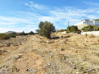 Αγροτεμάχια 9.455 τ.μ. για πώληση