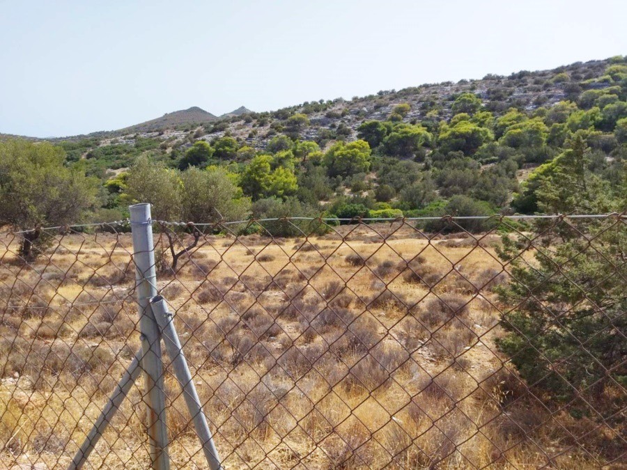 Αγροτεμάχια 9.455 τ.μ. προς πώληση, Παλιοκαμάριζα