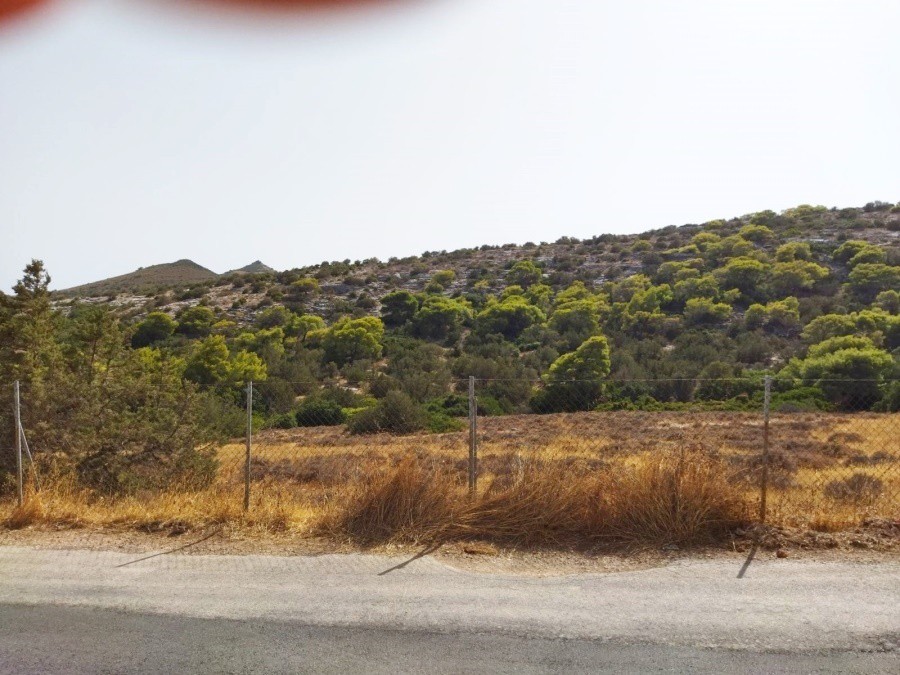 Αγροτεμάχια 9.455 τ.μ. προς πώληση, Παλιοκαμάριζα