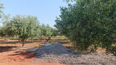 Αγροτεμάχια 20.000τ.μ. για πώληση-Μαρκόπουλο