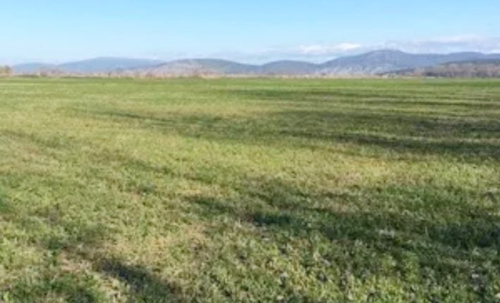 Αγροτεμάχια 8.000 τ.μ. για πώληση, Βοιωτία, Θήβα