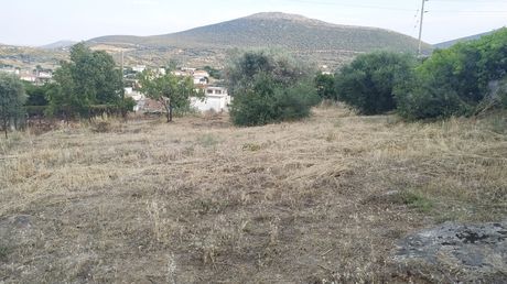 Οικόπεδο 663τ.μ. για πώληση-Δύστος