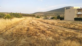 Οικόπεδο 589 τ.μ. για πώληση, Εύβοια, Δύστος-thumb-3