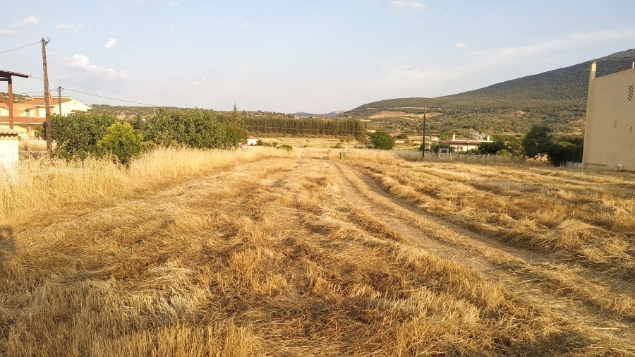Οικόπεδο 589 τ.μ. για πώληση, Εύβοια, Δύστος