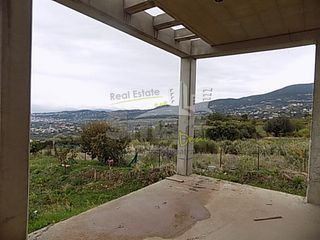 Κατάστημα 400 τ.μ. για ενοικίαση, Αχαΐα, Μεσσατίδα-thumb-2
