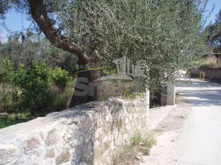 Οικόπεδο 887 τ.μ. προς πώληση, Ρίο-thumb-8