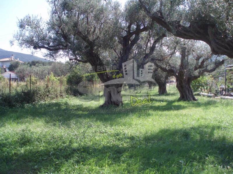 Οικόπεδο 887 τ.μ. προς πώληση, Ρίο