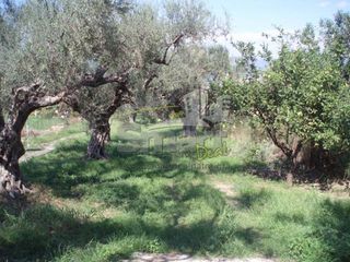 Οικόπεδο 887 τ.μ. προς πώληση, Ρίο-thumb-13