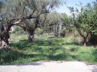 Οικόπεδο 887 τ.μ. προς πώληση, Ρίο-thumb-19