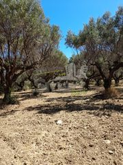 Οικόπεδο 2.900 τ.μ. προς πώληση, Κάτω Καστρίτσι-thumb-14