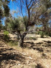 Οικόπεδο 2.900 τ.μ. προς πώληση, Κάτω Καστρίτσι-thumb-23