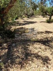 Οικόπεδο 2.900 τ.μ. προς πώληση, Κάτω Καστρίτσι-thumb-20
