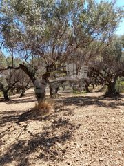 Οικόπεδο 2.900 τ.μ. προς πώληση, Κάτω Καστρίτσι-thumb-17