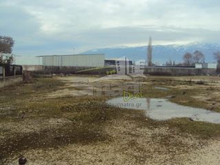 Οικόπεδο 11.000 τ.μ. για ενοικίαση, Αχαΐα, Παραλία-thumb-6