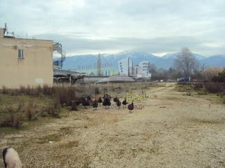 Οικόπεδο 11.000 τ.μ. για ενοικίαση, Αχαΐα, Παραλία-thumb-3