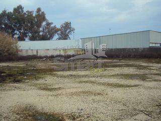 Οικόπεδο 11.000 τ.μ. για ενοικίαση, Αχαΐα, Παραλία-thumb-20