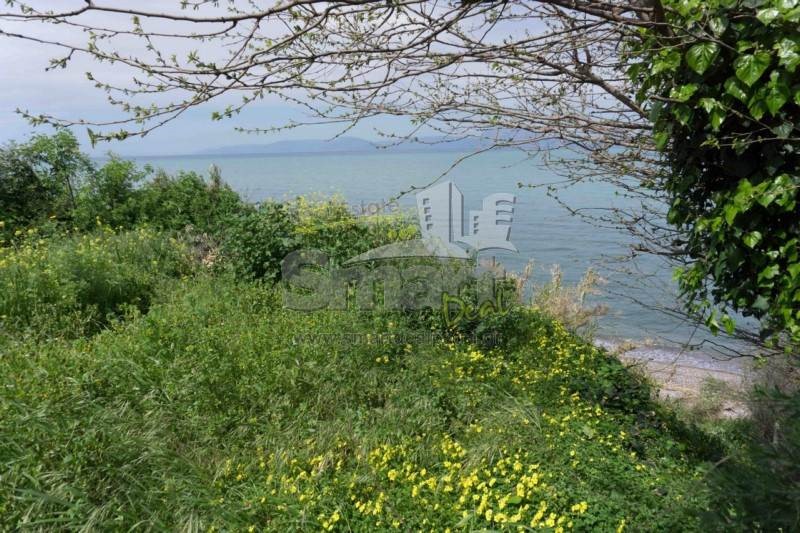 Οικόπεδο 599 τ.μ. προς πώληση, Αλισσός