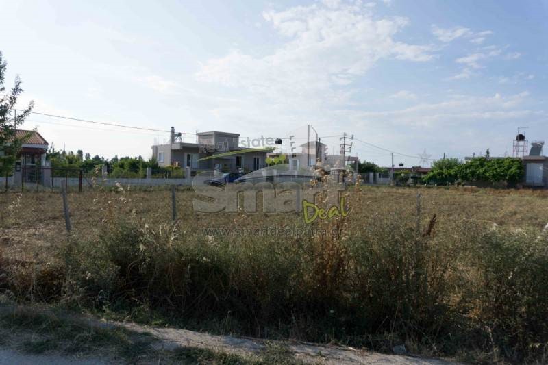 Οικόπεδο 1.331,98 τ.μ. προς πώληση, Νιφοραίικα
