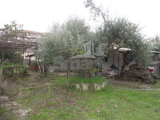 Οικόπεδο 800 τ.μ. προς πώληση, Μιντιλόγλι-thumb-8