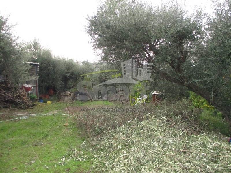 Οικόπεδο 800 τ.μ. προς πώληση, Μιντιλόγλι