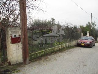 Οικόπεδο 800 τ.μ. προς πώληση, Μιντιλόγλι-thumb-7