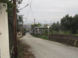 Οικόπεδο 800 τ.μ. προς πώληση, Μιντιλόγλι-thumb-4