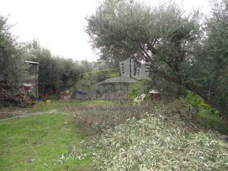Οικόπεδο 800 τ.μ. προς πώληση, Μιντιλόγλι-thumb-9