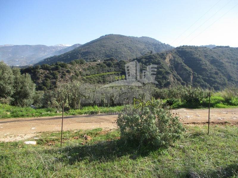 Οικόπεδο 742 τ.μ. προς πώληση, Σαραβάλι
