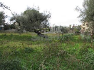 Οικόπεδο 2.400 τ.μ. για πώληση