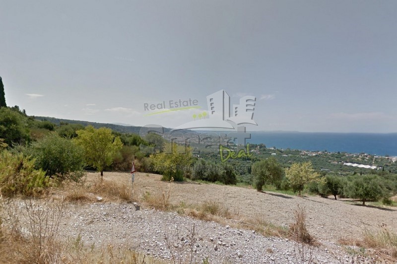 Οικόπεδο 4.000 τ.μ. προς πώληση, Μονοδένδρι Βραχναιίκων