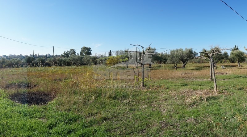 Οικόπεδο 6.200 τ.μ. προς πώληση, Κάτω Αχαΐα