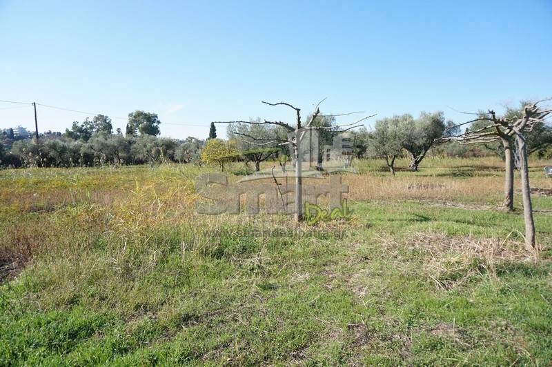 Οικόπεδο 6.200 τ.μ. προς πώληση, Κάτω Αχαΐα