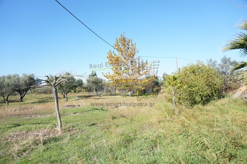 Οικόπεδο 6.200 τ.μ. προς πώληση, Κάτω Αχαΐα