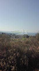 Αγροτεμάχια 4.613,27 τ.μ. για πώληση