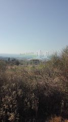 Αγροτεμάχια 4.613,27 τ.μ. πρός πώληση, Αχαΐα, Μεσσατίδα-thumb-12