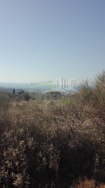Αγροτεμάχια 4.613,27 τ.μ. προς πώληση, Αχαΐα, Μεσσατίδα