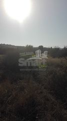 Αγροτεμάχια 4.613,27 τ.μ. πρός πώληση, Αχαΐα, Μεσσατίδα-thumb-5