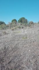 Αγροτεμάχια 4.613,27 τ.μ. πρός πώληση, Αχαΐα, Μεσσατίδα-thumb-2