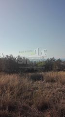 Αγροτεμάχια 4.613,27 τ.μ. πρός πώληση, Αχαΐα, Μεσσατίδα-thumb-19
