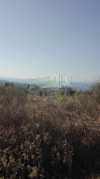 Αγροτεμάχια 4.613,27 τ.μ. προς πώληση, Αχαΐα, Μεσσατίδα