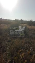 Αγροτεμάχια 4.613,27 τ.μ. πρός πώληση, Αχαΐα, Μεσσατίδα-thumb-10