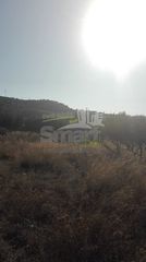 Αγροτεμάχια 4.613,27 τ.μ. πρός πώληση, Αχαΐα, Μεσσατίδα-thumb-16