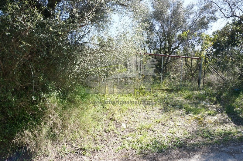 Οικόπεδο 1.028 τ.μ. προς πώληση, Τσουκαλαίικα Βραχναιίκων