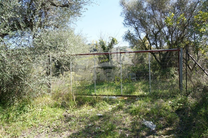 Οικόπεδο 1.028 τ.μ. προς πώληση, Τσουκαλαίικα Βραχναιίκων