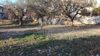 Οικόπεδο 1.004 τ.μ. προς πώληση, Καρυά Πάτρας-thumb-3