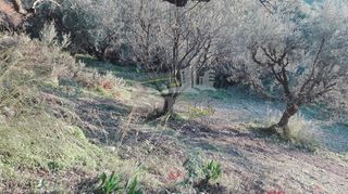 Οικόπεδο 1.004 τ.μ. προς πώληση, Καρυά Πάτρας-thumb-15