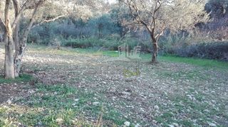 Οικόπεδο 1.004 τ.μ. για πώληση